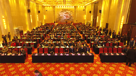 图片6
