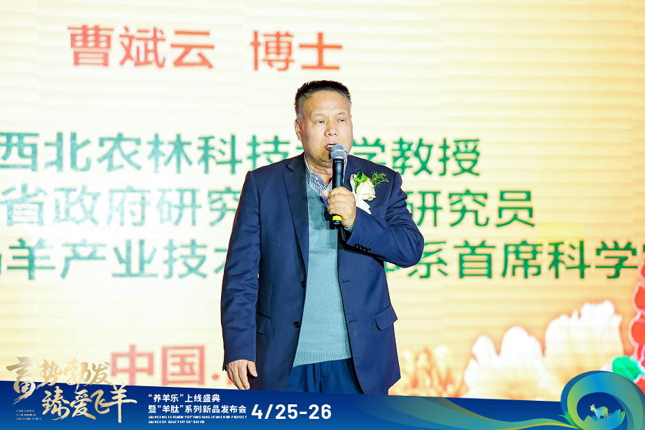 https://www.cheaie.com/uploadfile/202608/9e787cfa9f5f5687a93eea67e8c89f8e.png